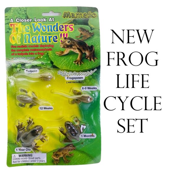 Tadpole to Frog Morphosis Life Cycle Science STEM Toys Set Kit BRAND NEW - Picture 1 of 9